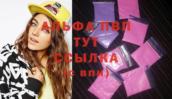 ешки Новозыбков
