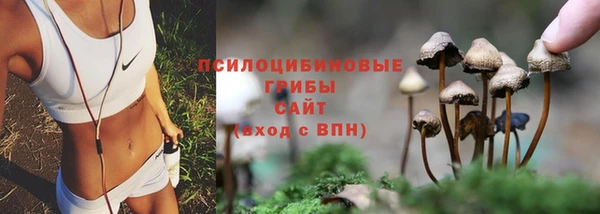 кристаллы Новодвинск