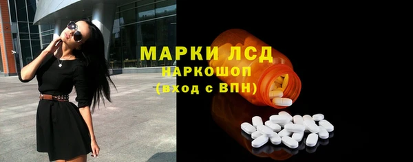 ешки Новозыбков
