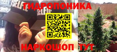 крисы Гусиноозёрск