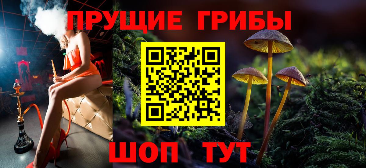 Псилоцибиновые грибы MAGIC MUSHROOMS Кубинка
