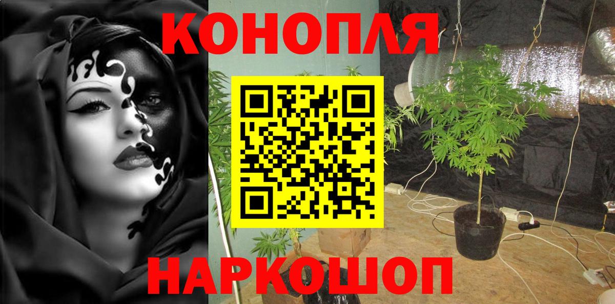 Канабис тримм  Шишки марихуана семена  Кубинка  Конопля OG Kush 